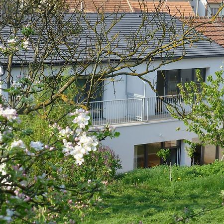 Pod Kralicim Vrchem Apartment Milovice  Екстериор снимка
