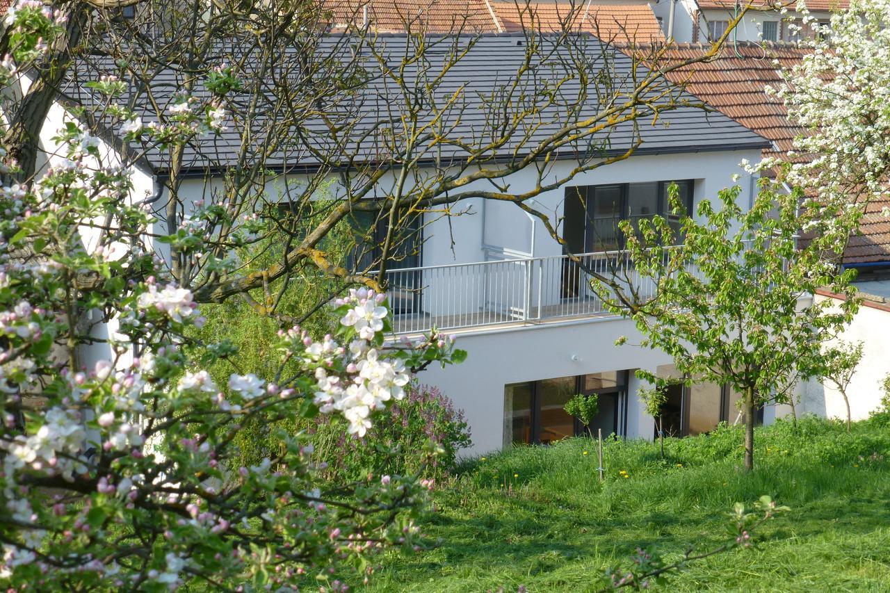 Pod Kralicim Vrchem Apartment Milovice  Екстериор снимка